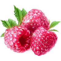 /images/raspberry.gif
